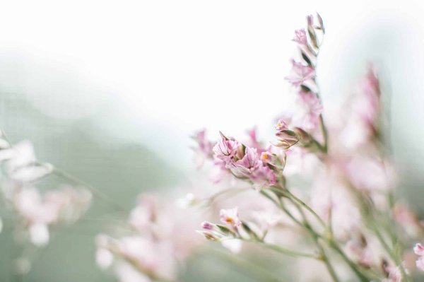 How Can You Wear Pastel Colors in Winter Office Settings?